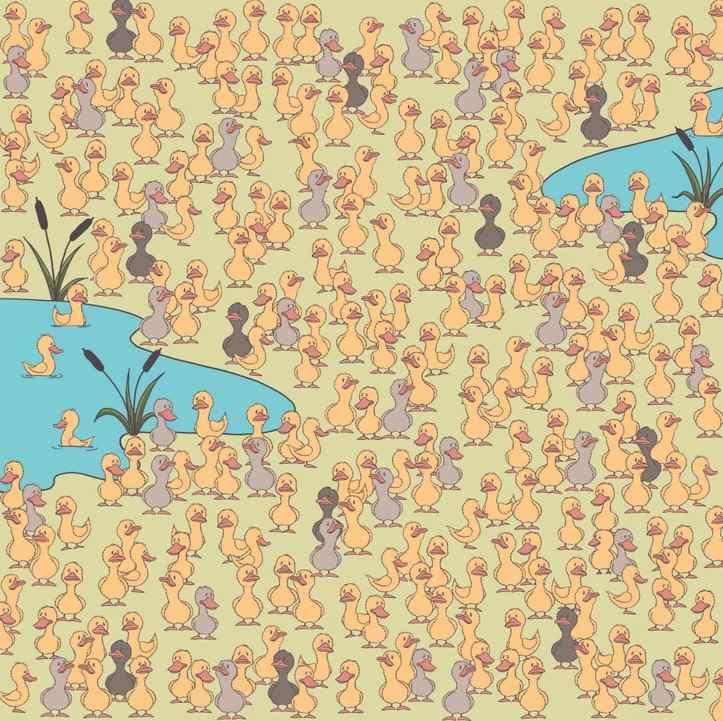 Mysteriet og det vigtigste Mysteriet og det vigtigste