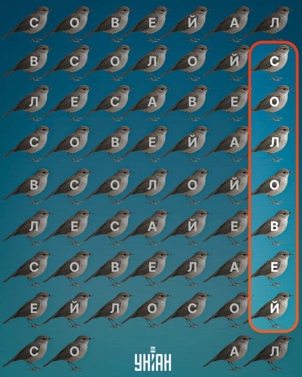 Moje-collage Moje-collage