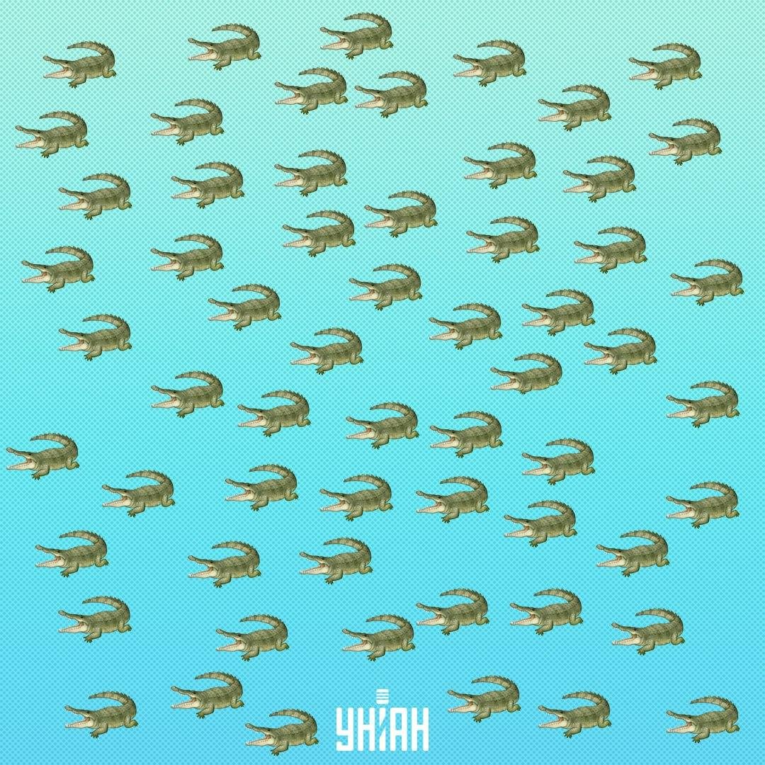 Krybdyret gemte sig, men man burde kunne se det om 15 sekunder / Moje Collage Krybdyret er skjult, men du bør se det om 15 sekunder / Collage Moje