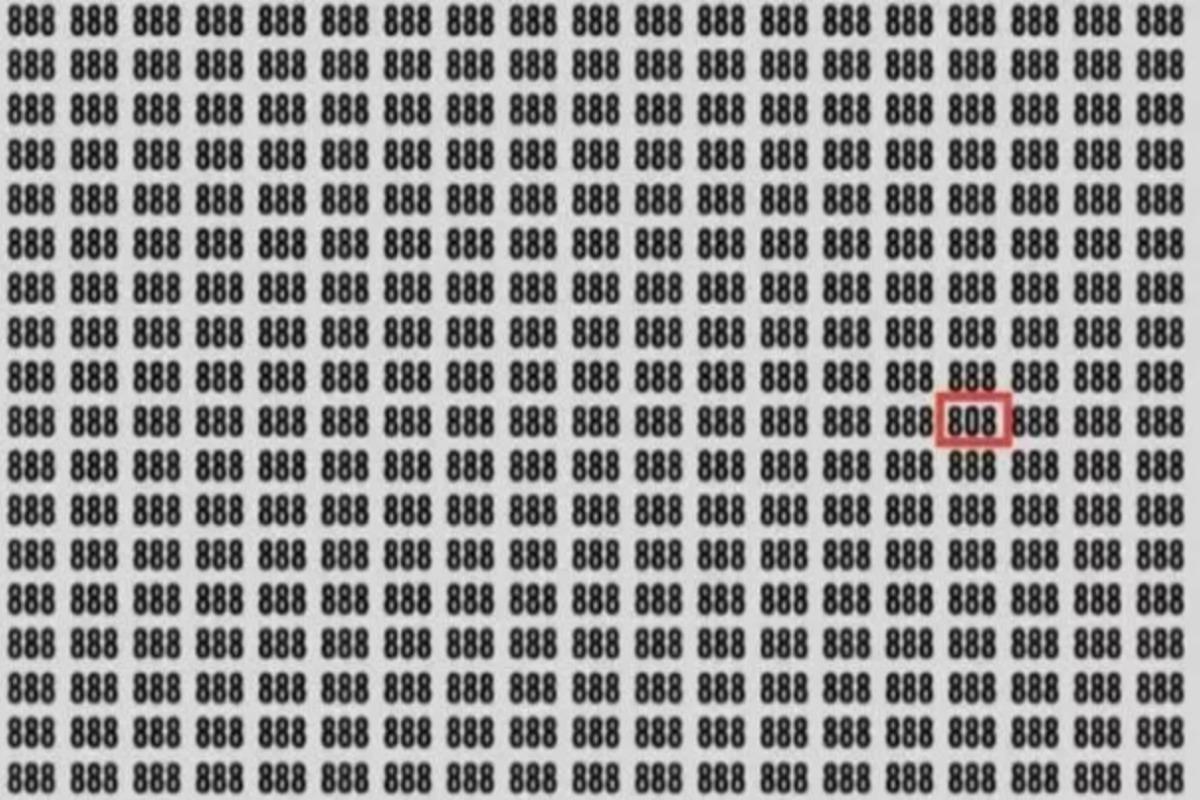 Svaret på gåden / foto af Jagran Josh Svaret på gåden / foto af Jagran Josh