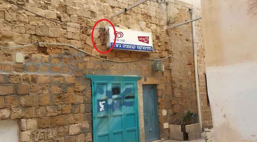 Optisk illusion Optisk illusion