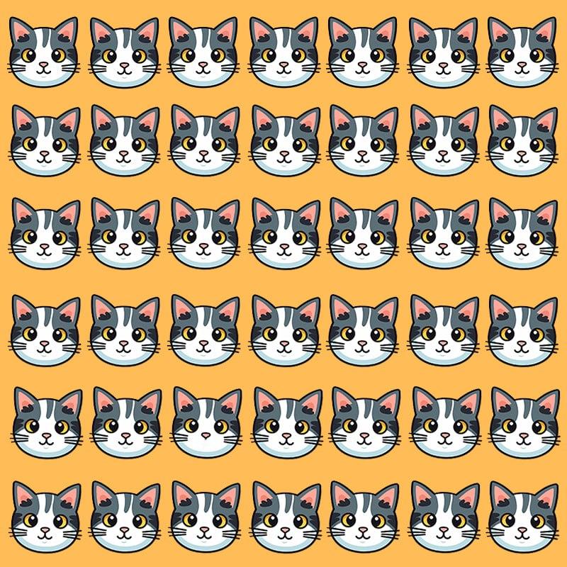 Denne optiske illusion er kun mulig for folk med en grandios IQ / Moje-billede Denne optiske illusion er kun mulig for folk med grandios IQ / Moje image