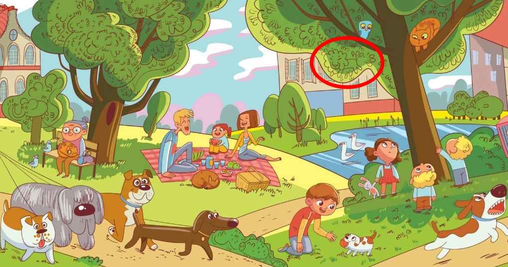 Dette er en opgave, som kun få kan klare: Find løven i parken på 6 sekunder. Dette er en opgave, som kun få mennesker kan klare: Du skal finde løven i parken på 6 sekunder.