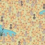 Et puslespil for sjov og opfindsomhed: du skal finde en kylling på 7 sekunder Et puslespil for sjov og opfindsomhed: du skal finde en