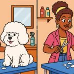 Hvor er de tre forskelle mellem kvinder med en vovse: det sværeste puslespil til at teste din koncentrationsevne Hvor er de tre forskelle mellem kvinder med en vovse: