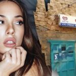 Kun et geni ville finde en hund på gaden på 7 sekunder: en kompleks optisk illusion Kun et geni ville finde en hund på gaden på