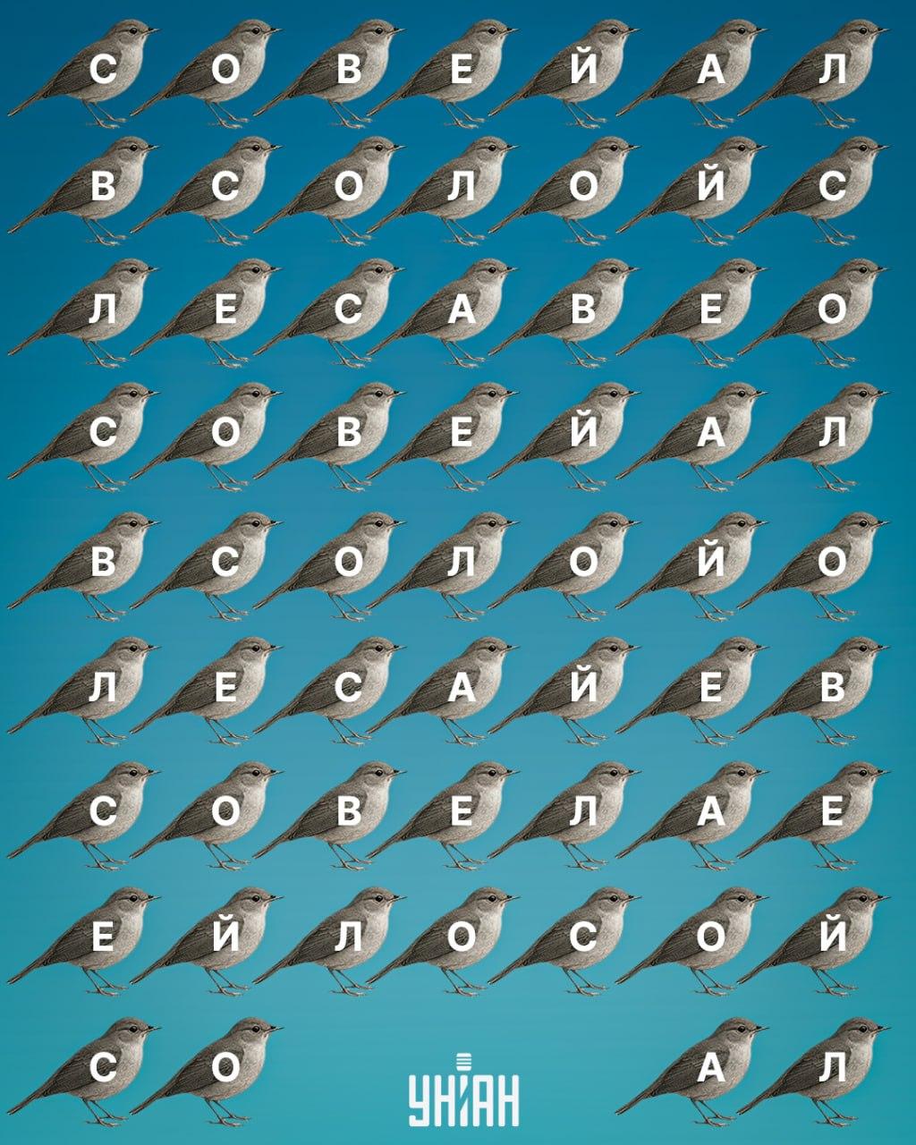 Moje-collage Moje-collage