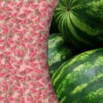 En fantastisk optisk illusion: kun få vil finde en særlig vandmelon på 10 sekunder En fantastisk optisk illusion: kun få vil finde en særlig