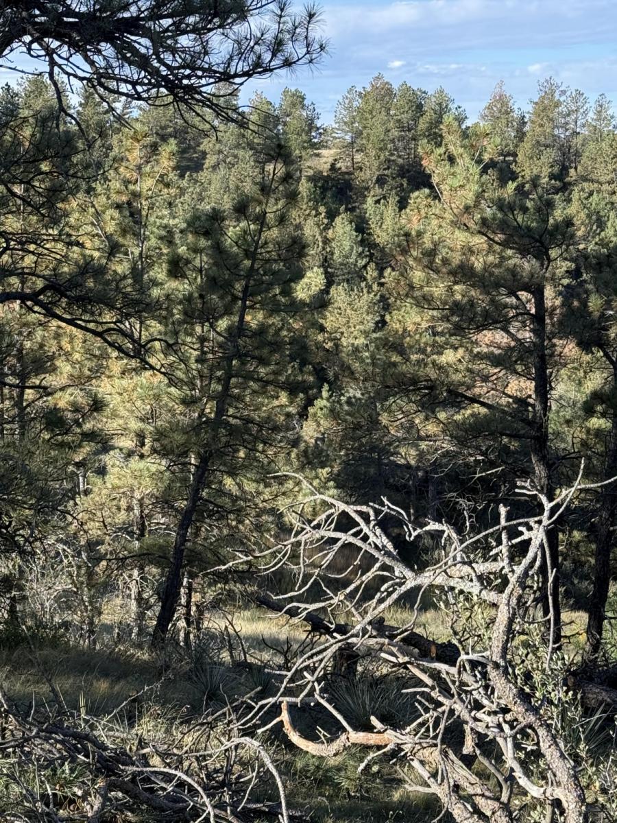 Skærmbillede Skærmbillede